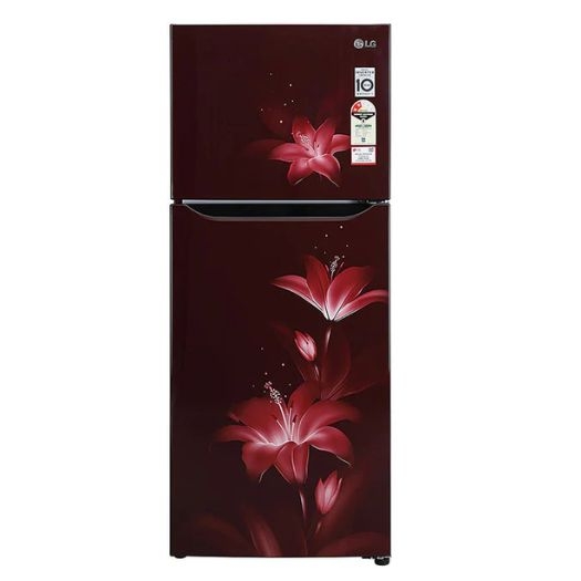GL-N292BRGY Frost Free Double Door Refrigerator with Smart Inverter Compressor